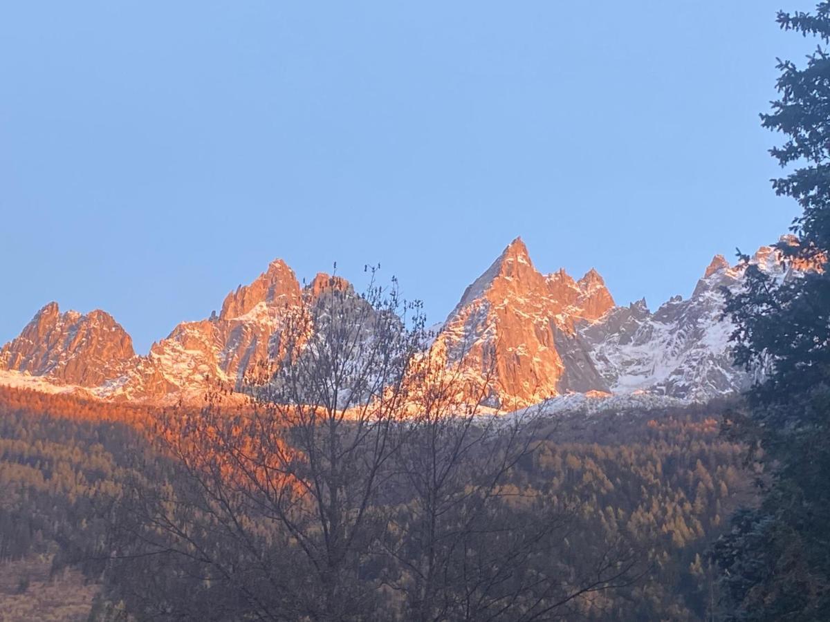 Apartmán Chamonix - Majestic Vue Mont Blanc Exteriér fotografie