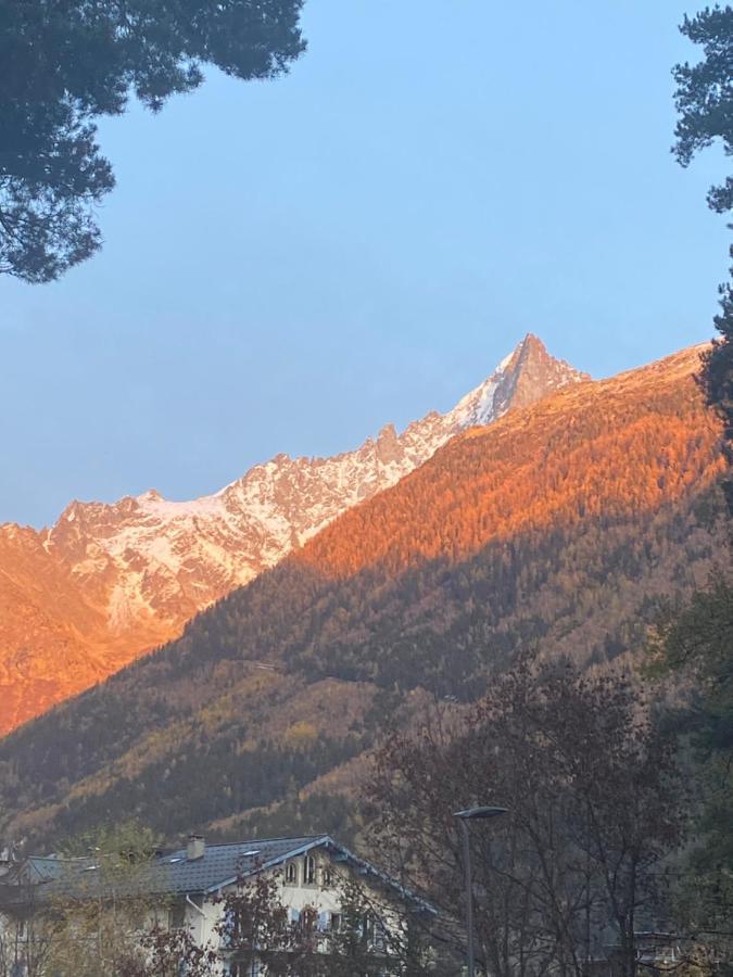 Apartmán Chamonix - Majestic Vue Mont Blanc Exteriér fotografie